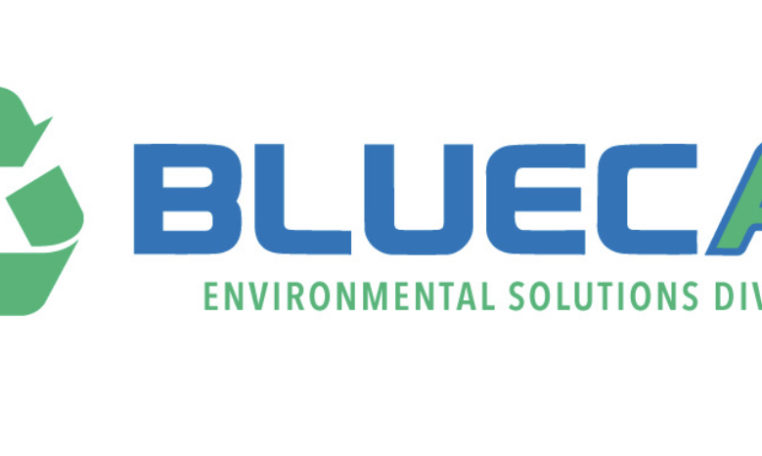 Blue cat Environmental Solutions DIvisions Logo