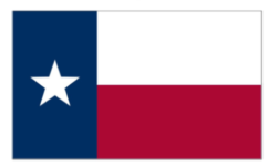 Texas Flag Fridge Magnet Dallas Houston